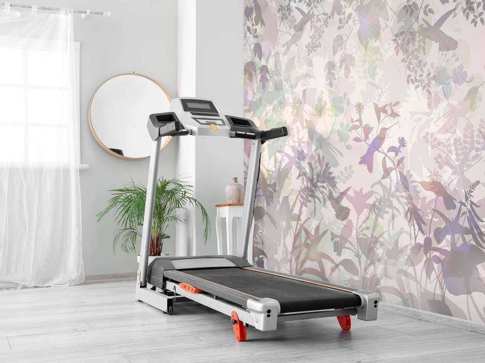 Trädgårdssymfoni i lila