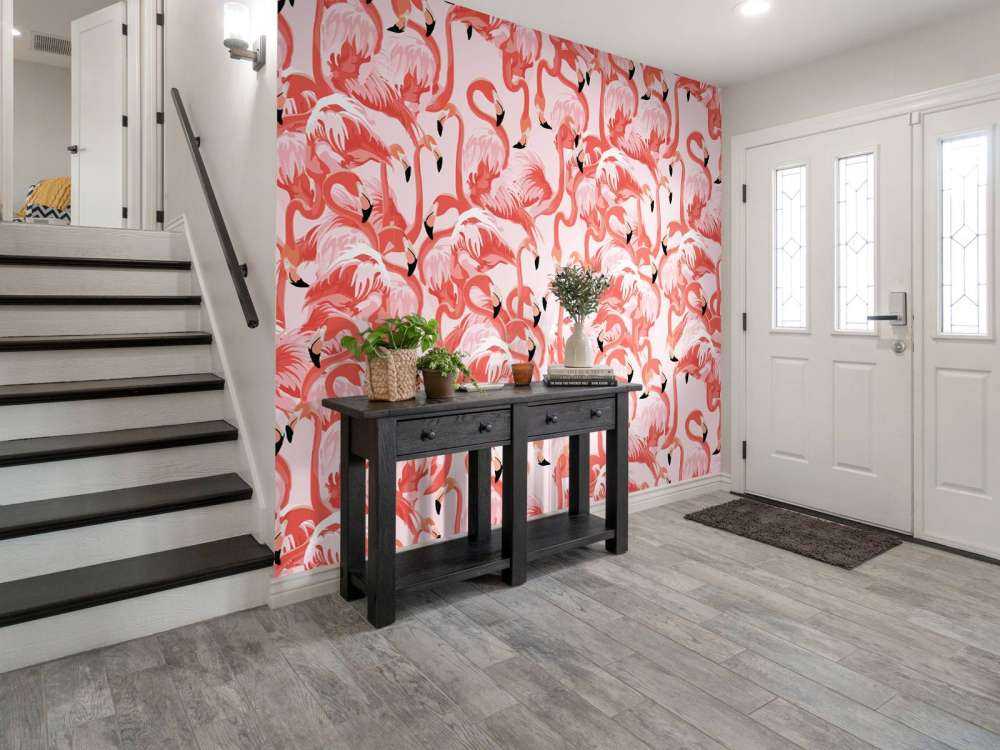 Exotiska flamingos