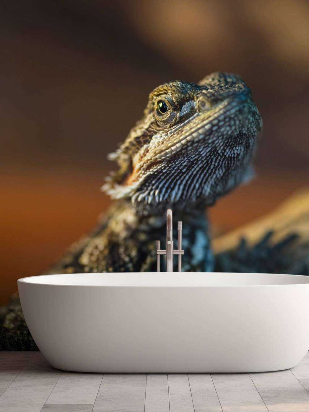 Närbild av kameleon