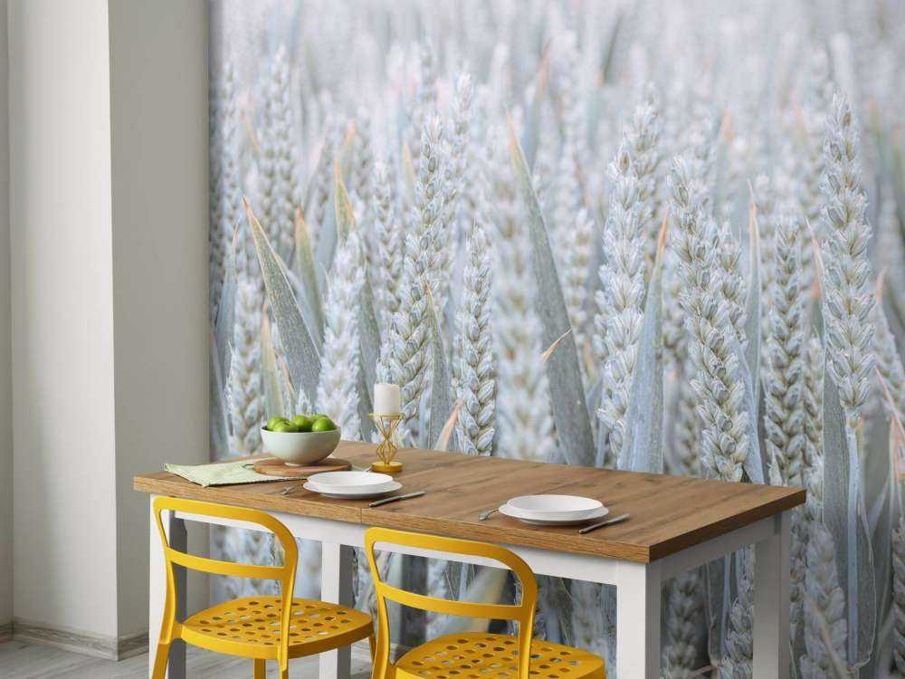 Wheatfield