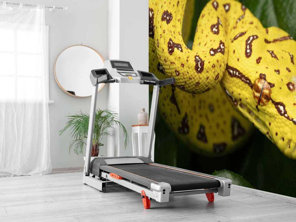 Närbild av trädpyton