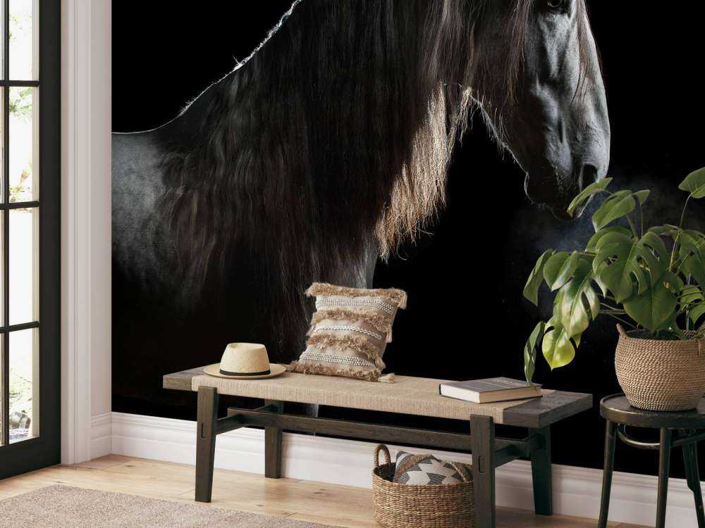 Skimmel med sort tapet