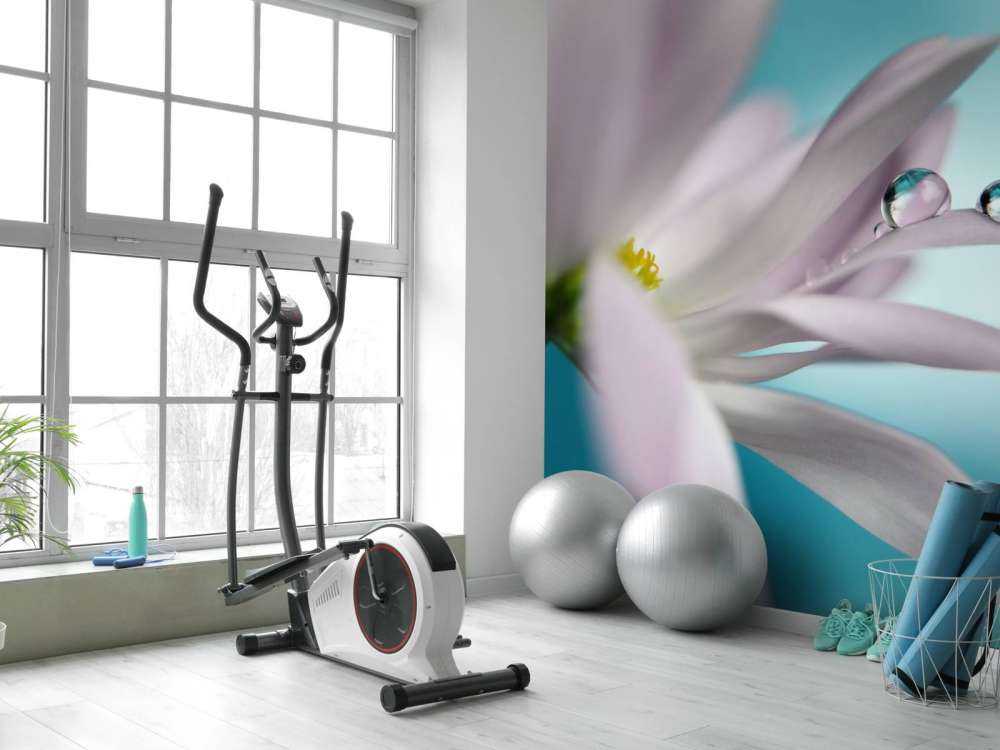 In turquoise Company