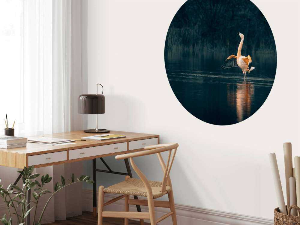 Flamingo i øde sø