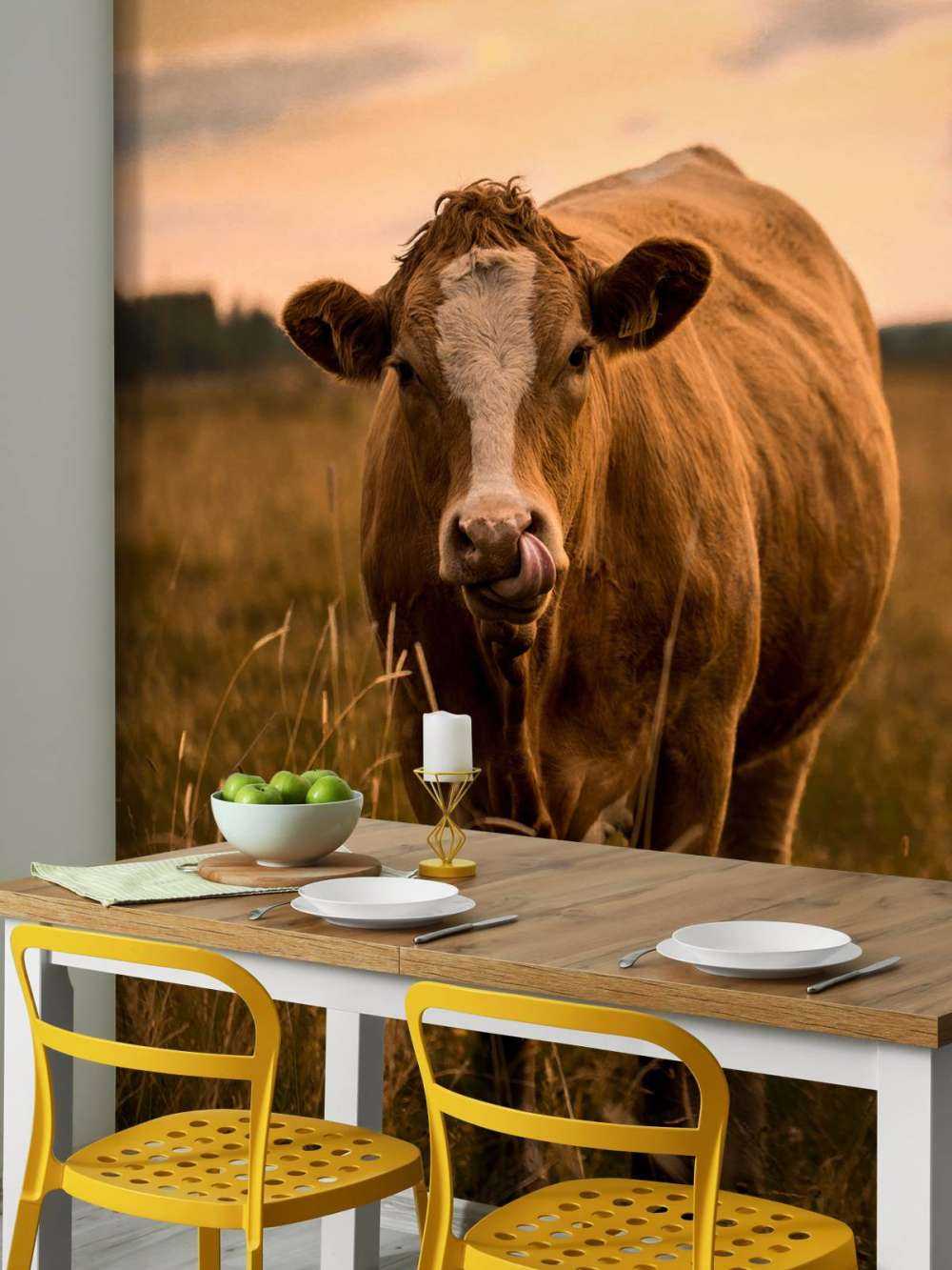 Ko med tungen i næsen