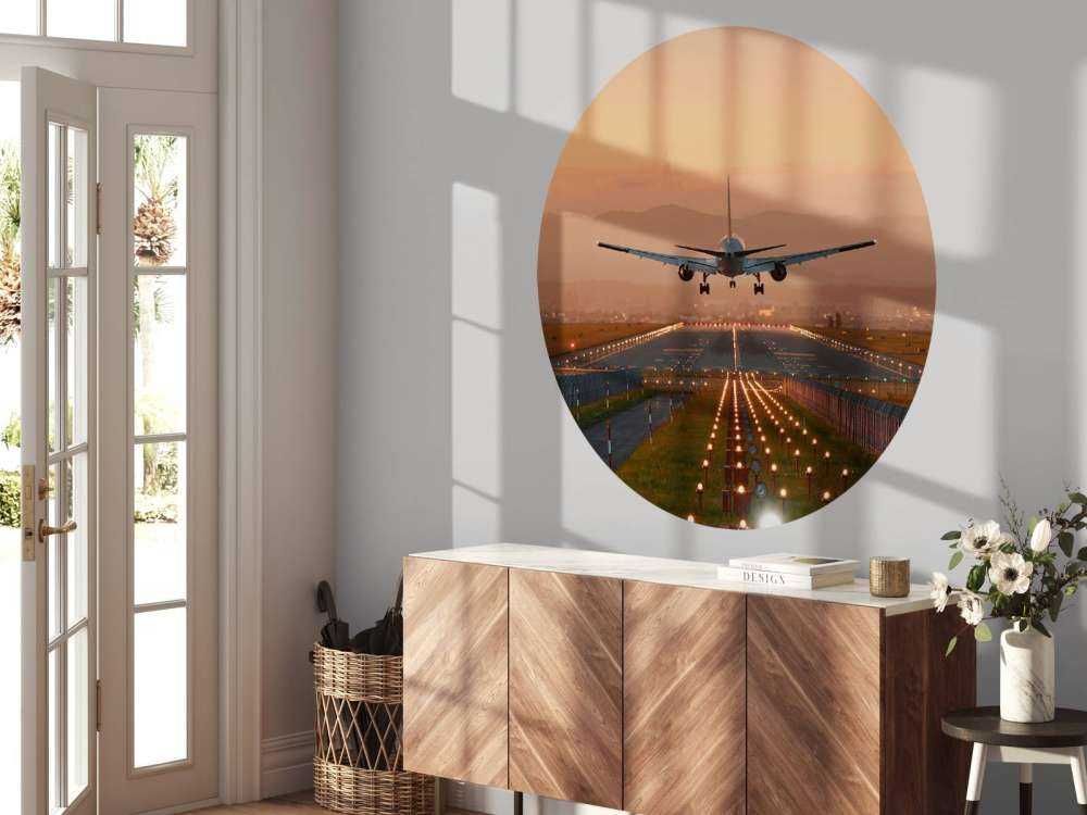 Landingsfly i aftensolen