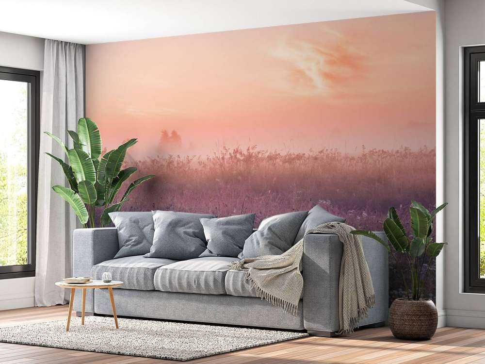 Mark med morgentåge