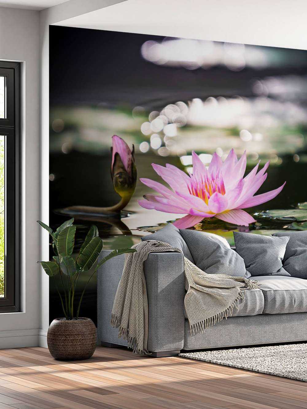 Lotusblomst lyserød