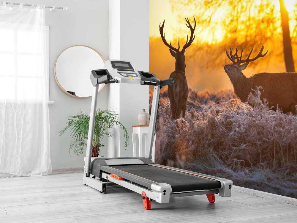 Herten bij zonsondergang