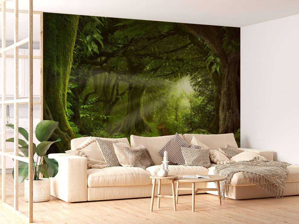 Tropisk jungle med sollys