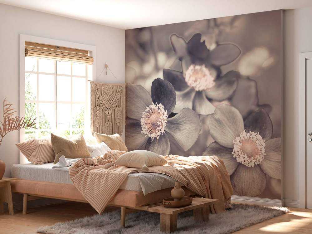 Anemone blomst