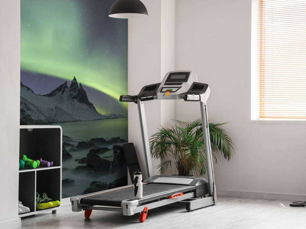 Aurora Borealis