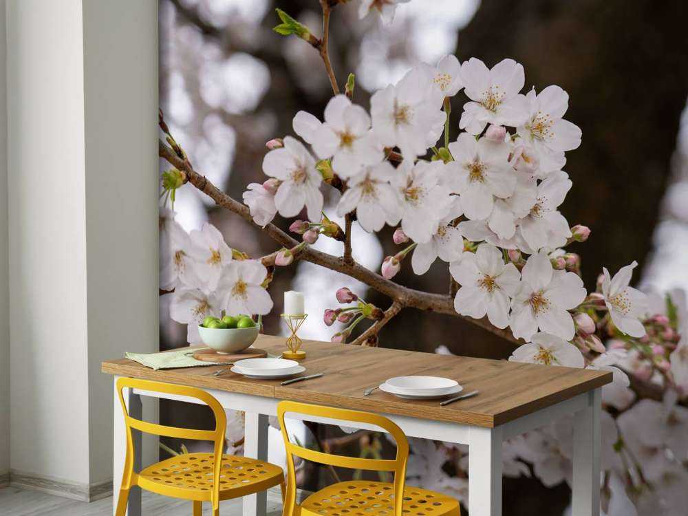 Hvide blomster