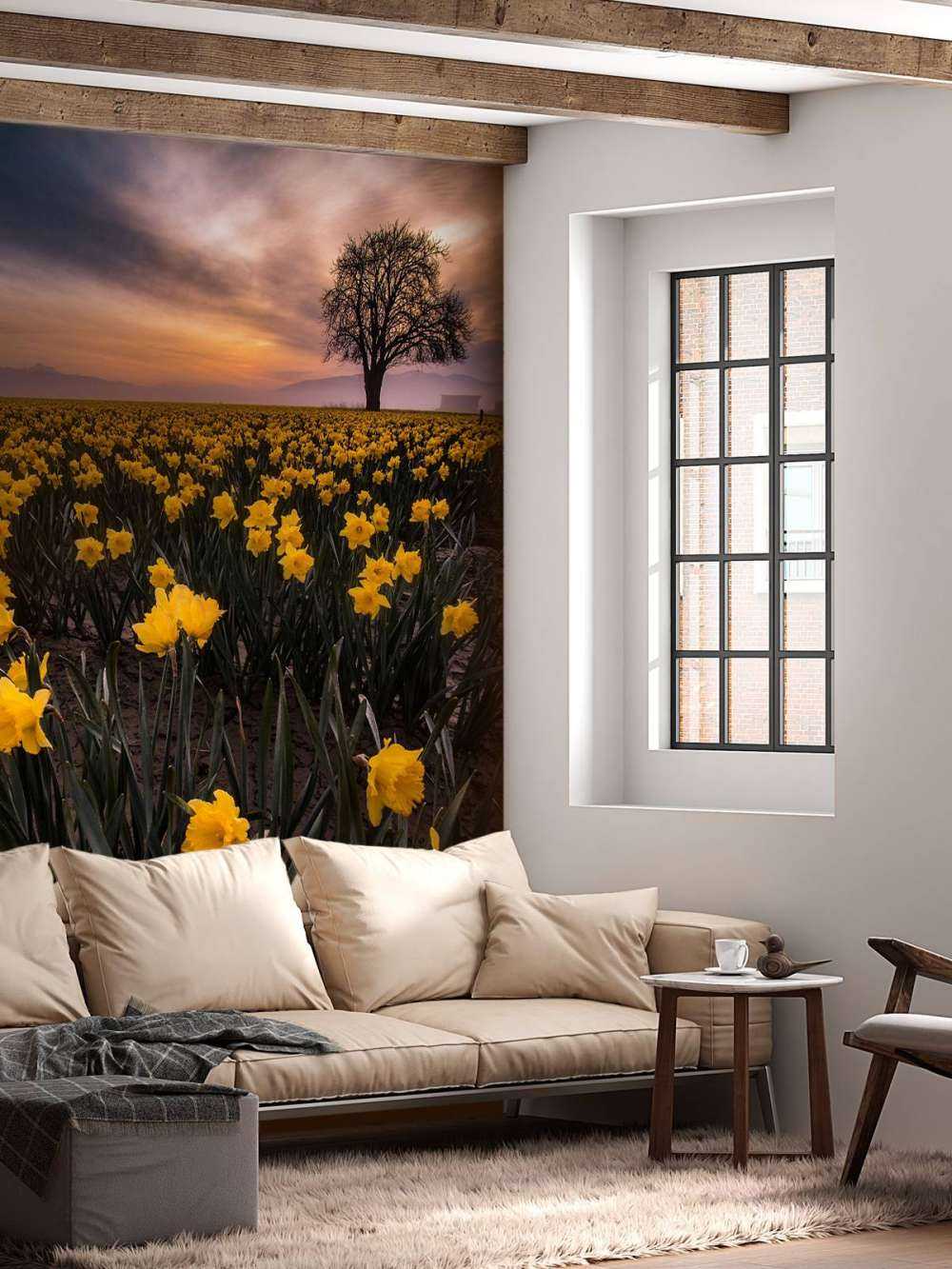 Mark med påskeliljer