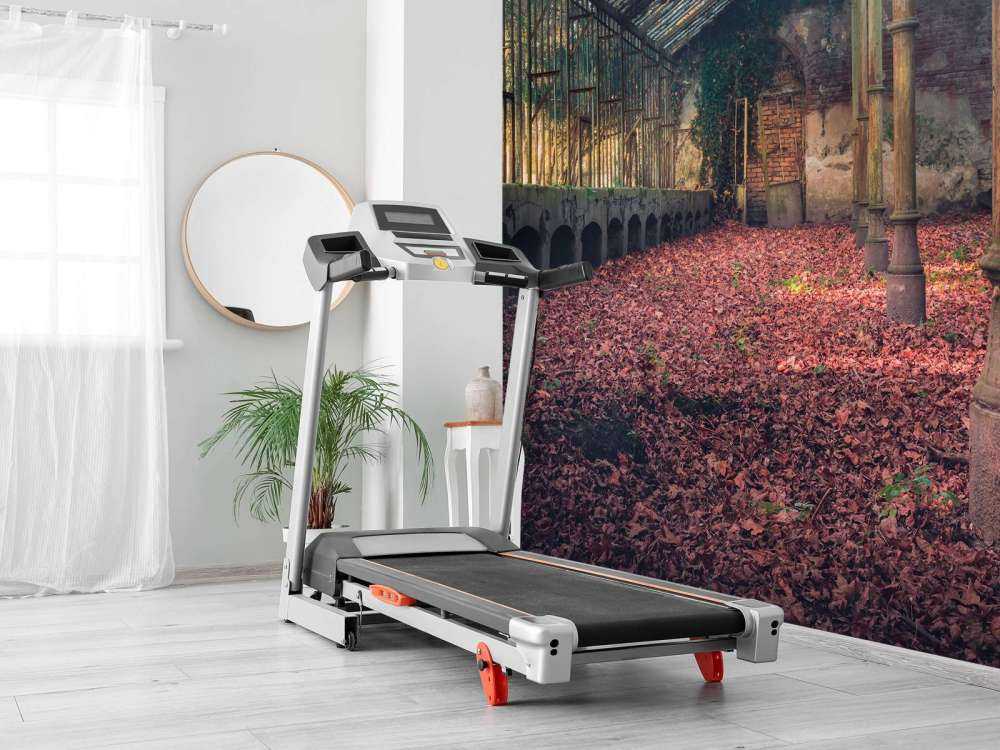 Forladt hus med blade