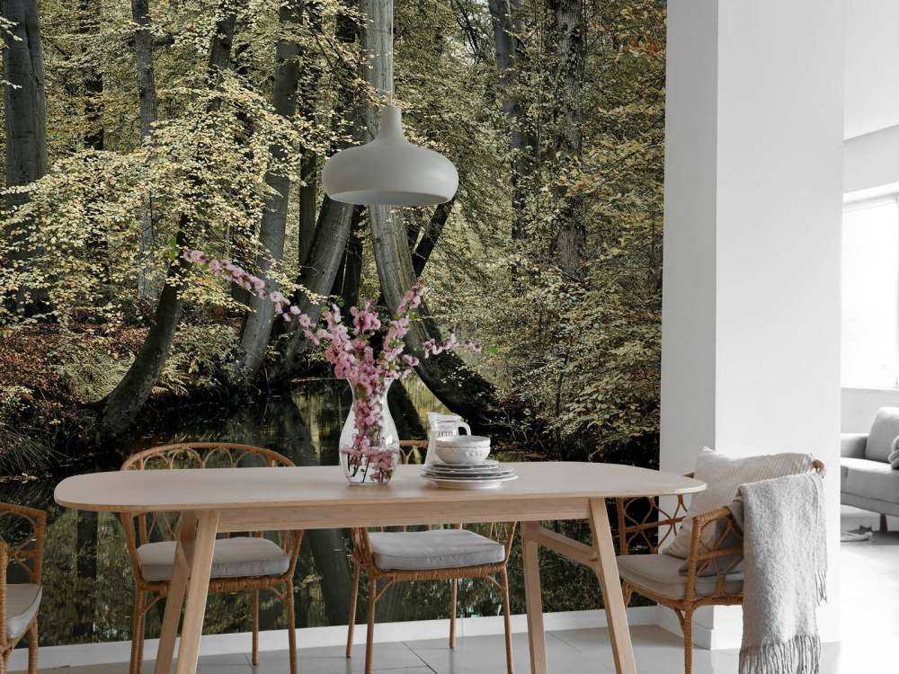 Vandløb med hængende træer