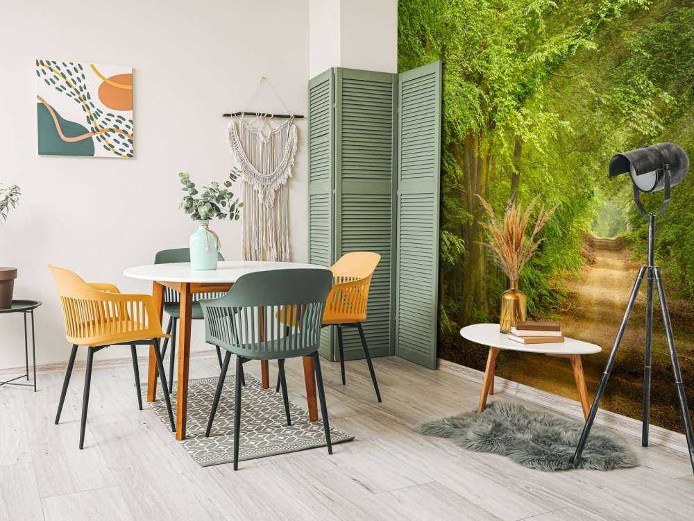 Tudse i skov med solstråler