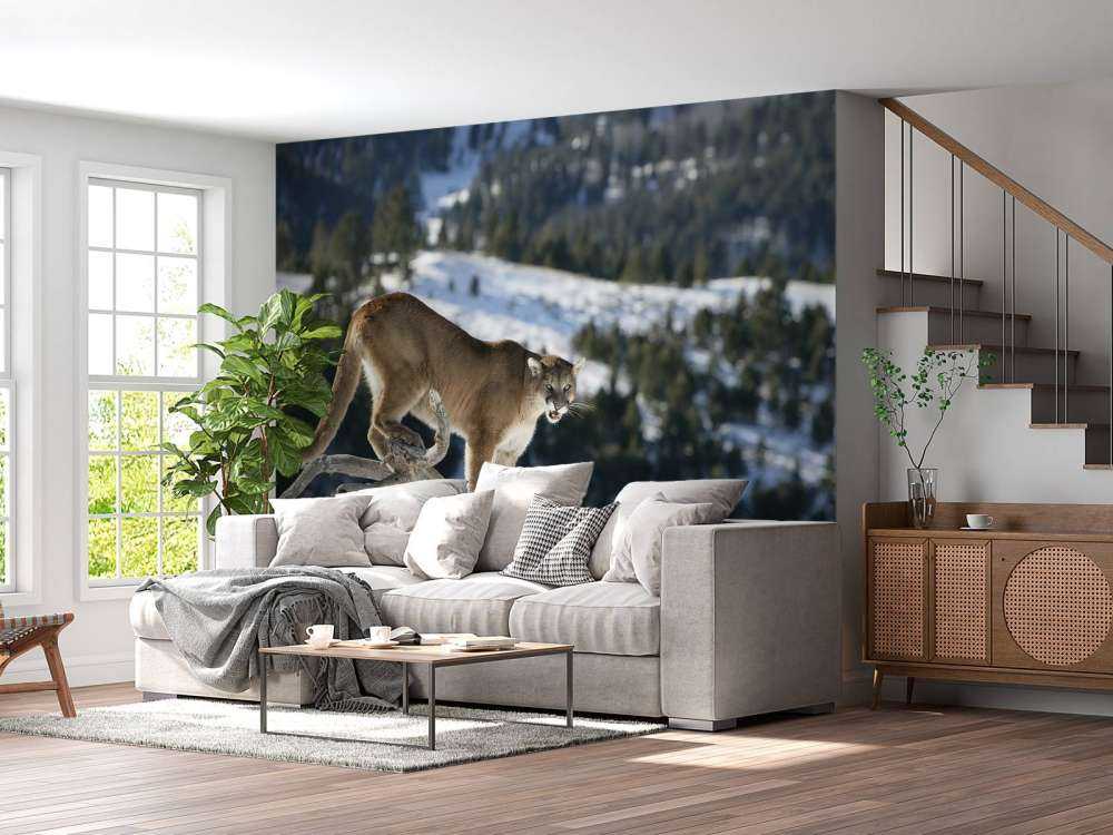 Bjergløve __på et dødt træ