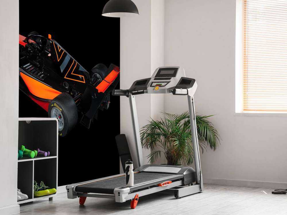 Formel 3 - Sett bakfra fra venstre - mørkt