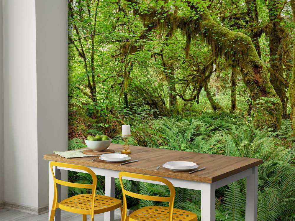 Bregner i en gammel skog