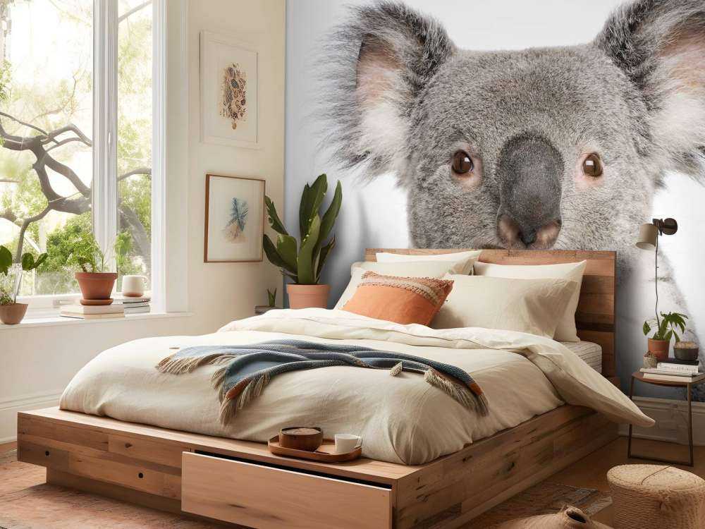 Foto av en koala