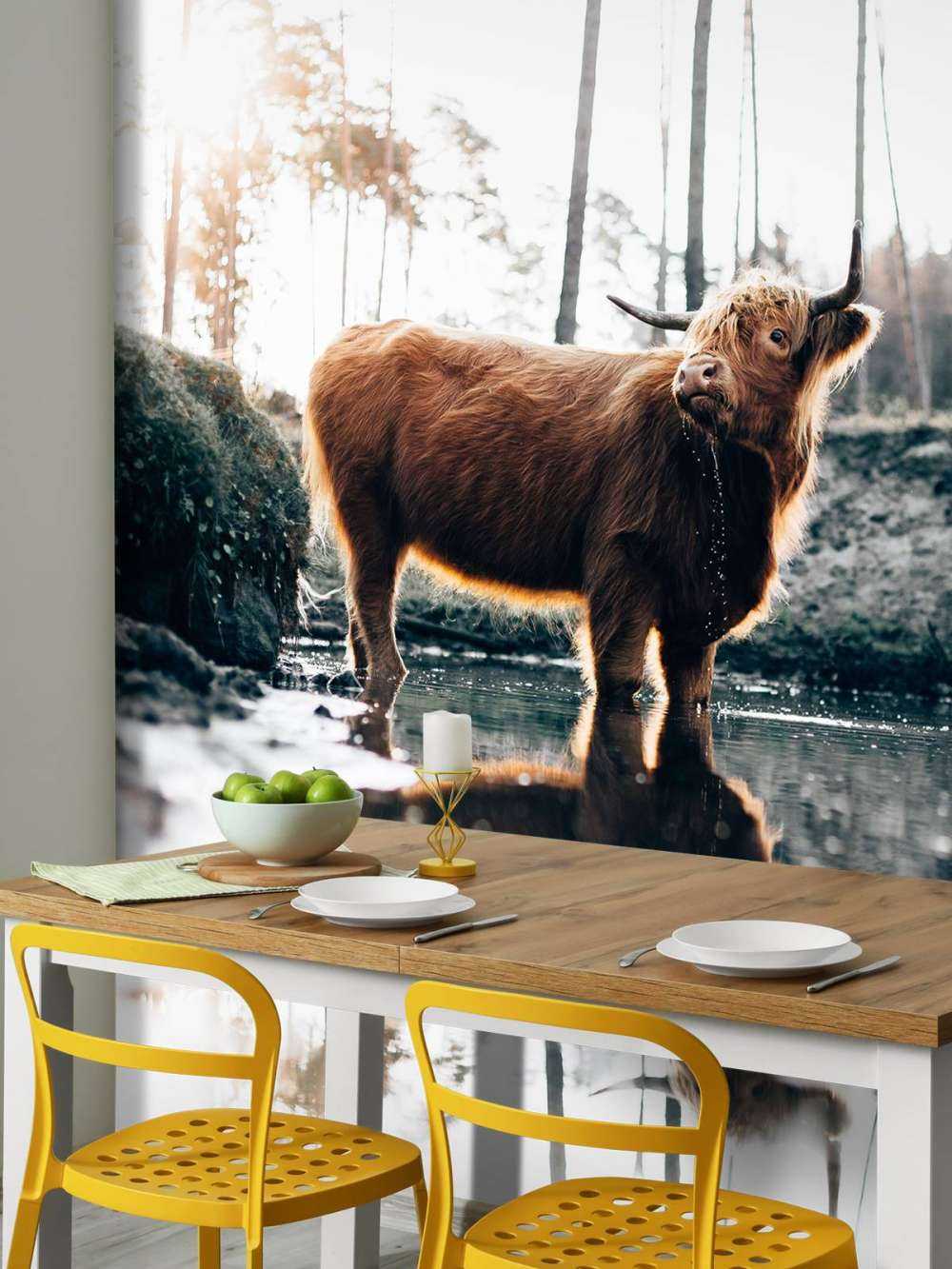 Skotsk høylander i vannet