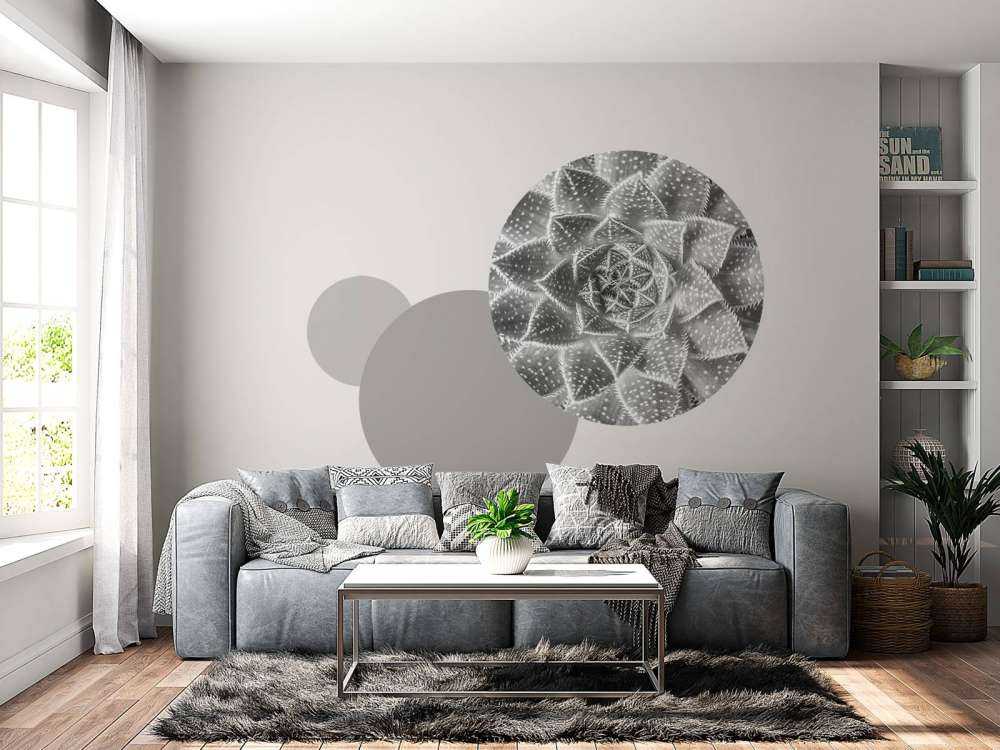 Nærbilde sukkulent plante