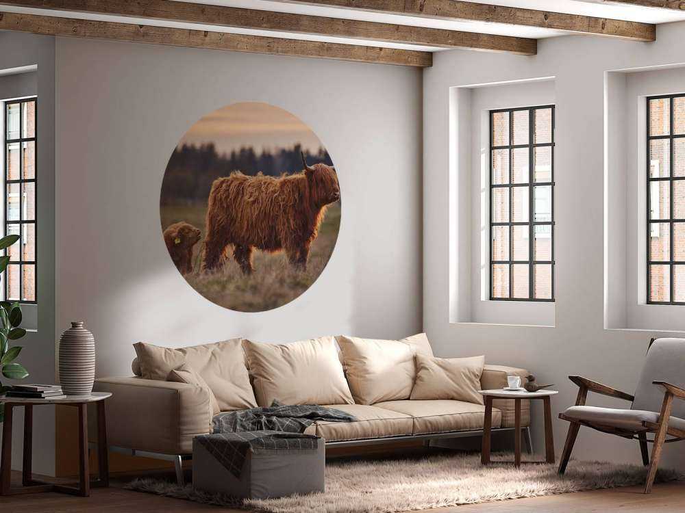 Det skotske høylandet på engen