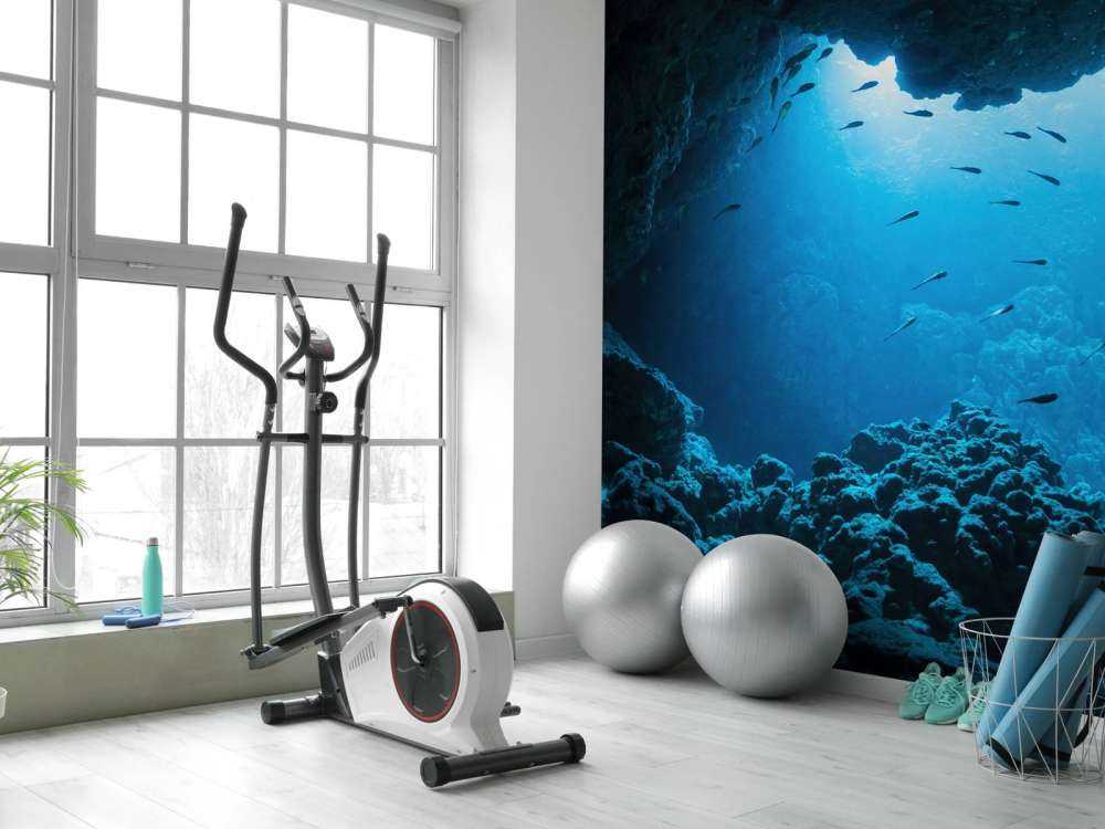 Ubåtgrotte med fisk