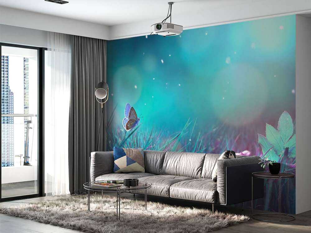 Sommerfugl om morgenen dugg