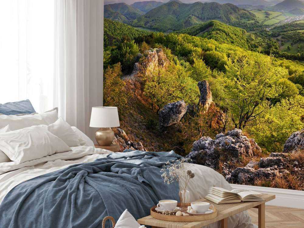 Fjellandskap om våren