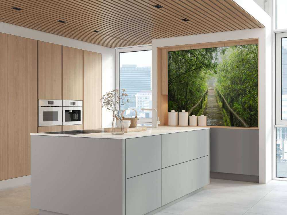 Grønn, tåkete jungel