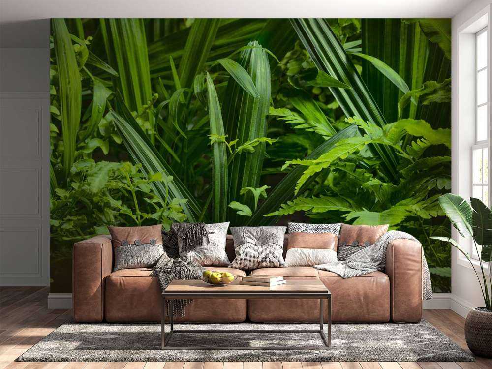 Panorama med planter