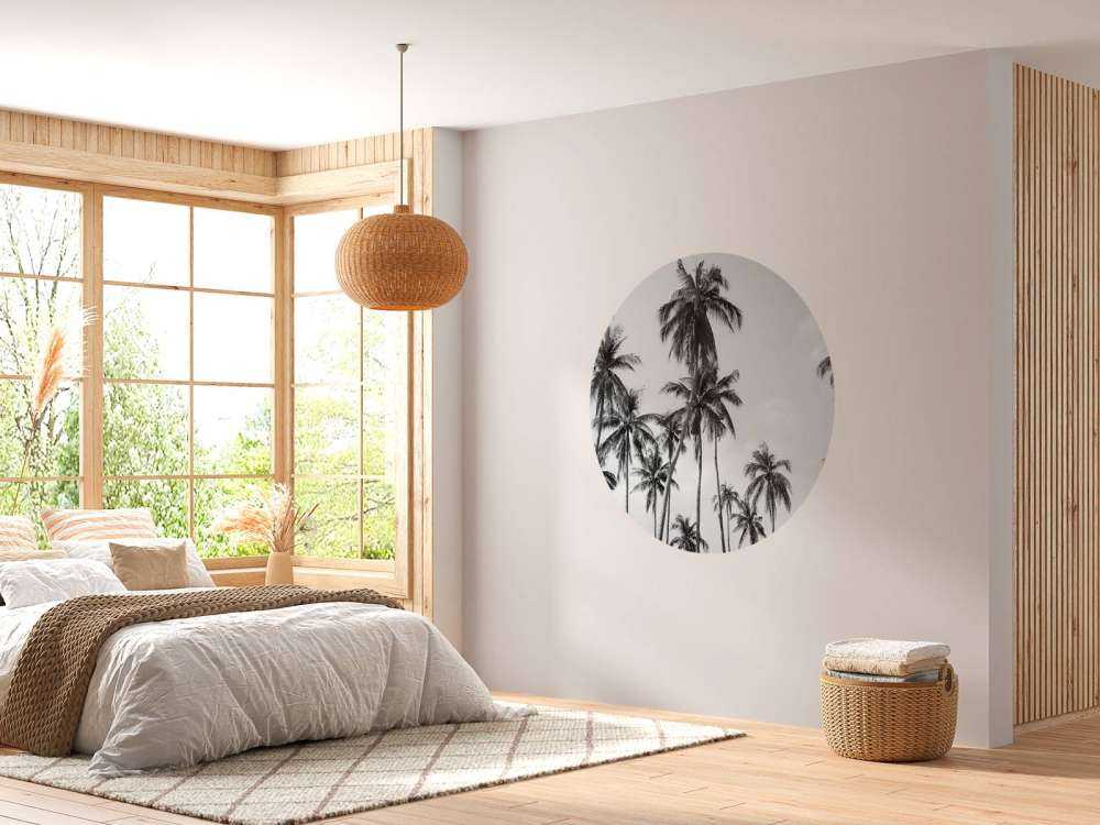 Palmer i svart og hvitt