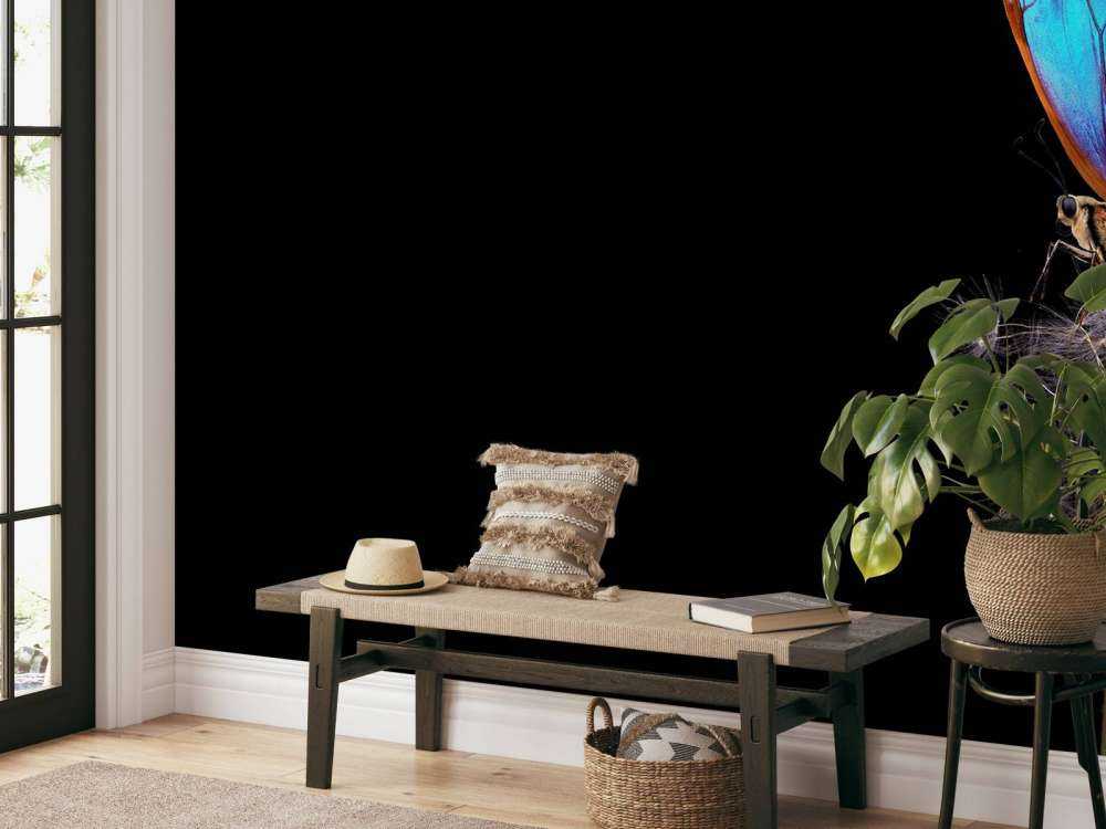 Blå sommerfugl på en løvetann