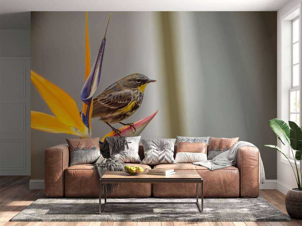 Paradisblomst med fugl