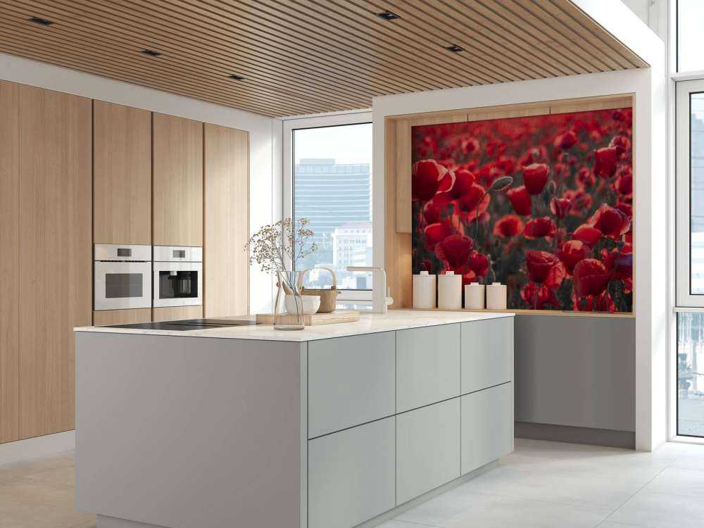 Valmuer i mørk stil