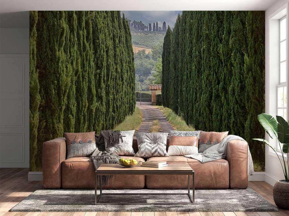 Avenue med sypresser