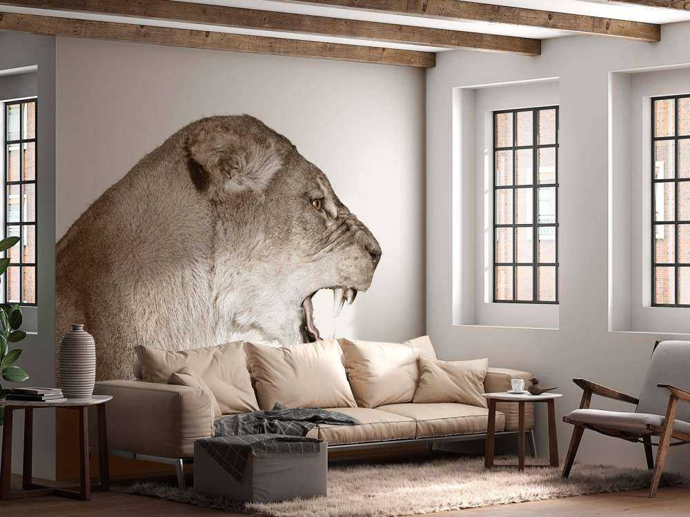 Løvinnen sett fra siden, offwhite