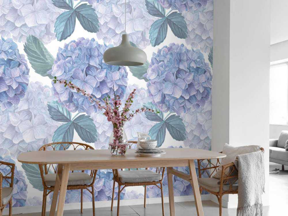 Duggdråpe Hortensiaer