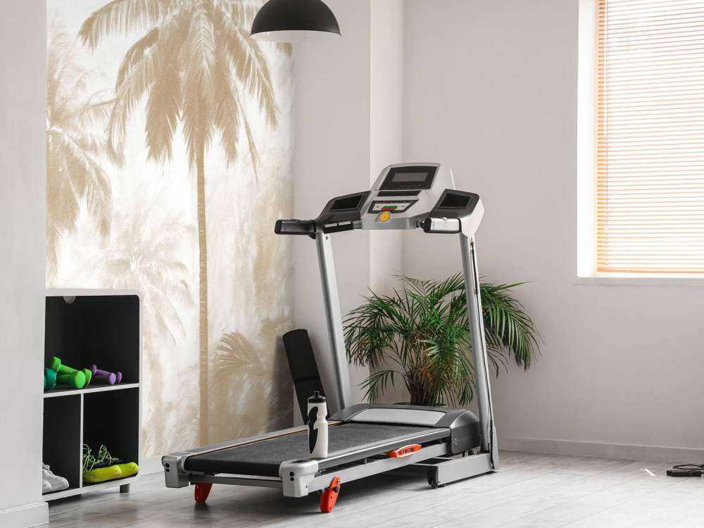 Tåkete Palmeskog, taupe