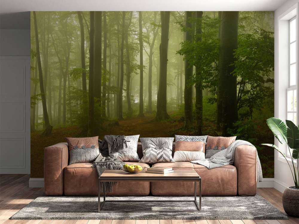 Bana genom dimmig grön skog