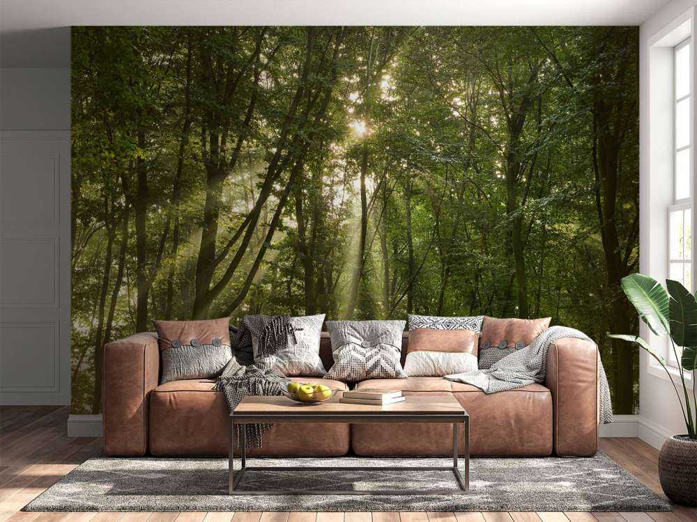 Solsken i skogen
