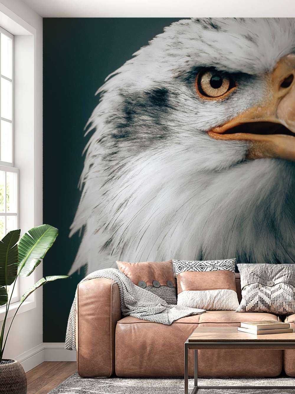 Stirrande Bald Eagle