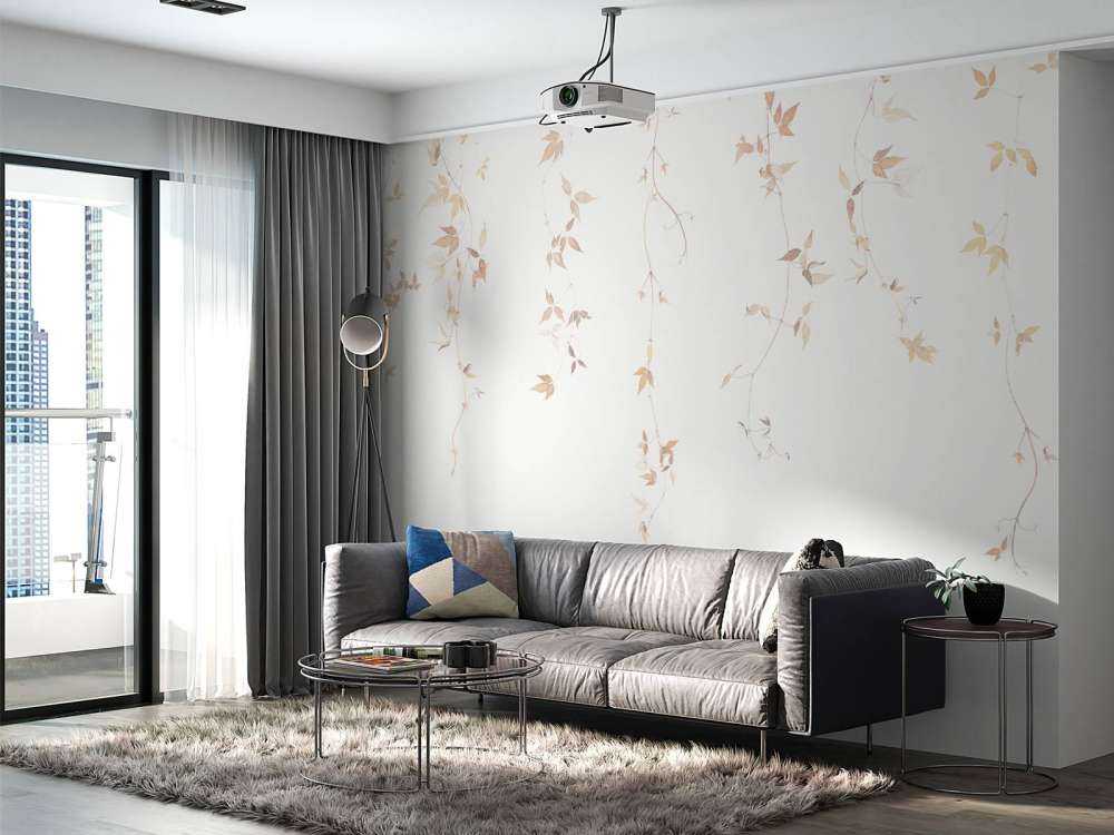 Ljus klematis vinstock