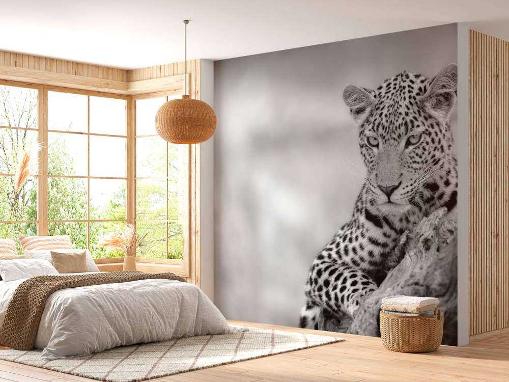 Leopard svart, vit