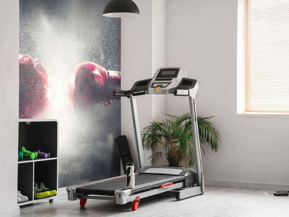 Två boxare
