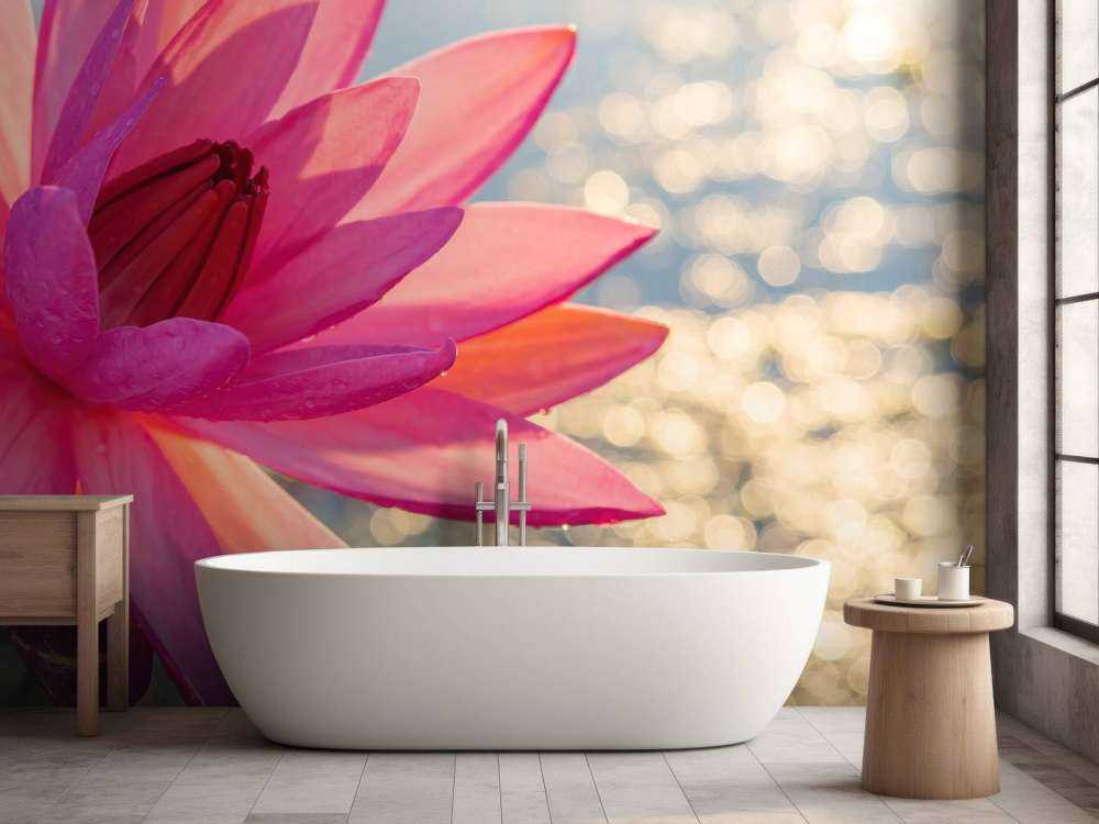 Lotus blomma på vatten