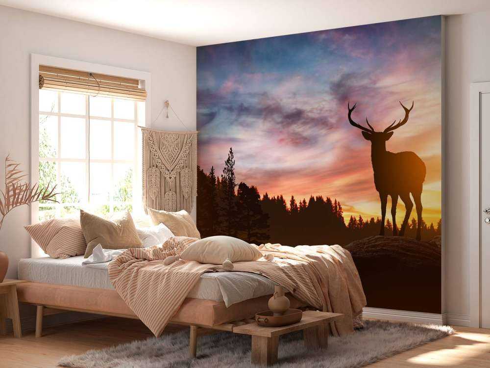 Rådjur i solnedgången