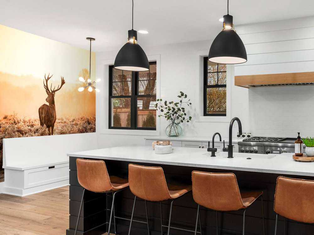 Rådjur i soluppgång